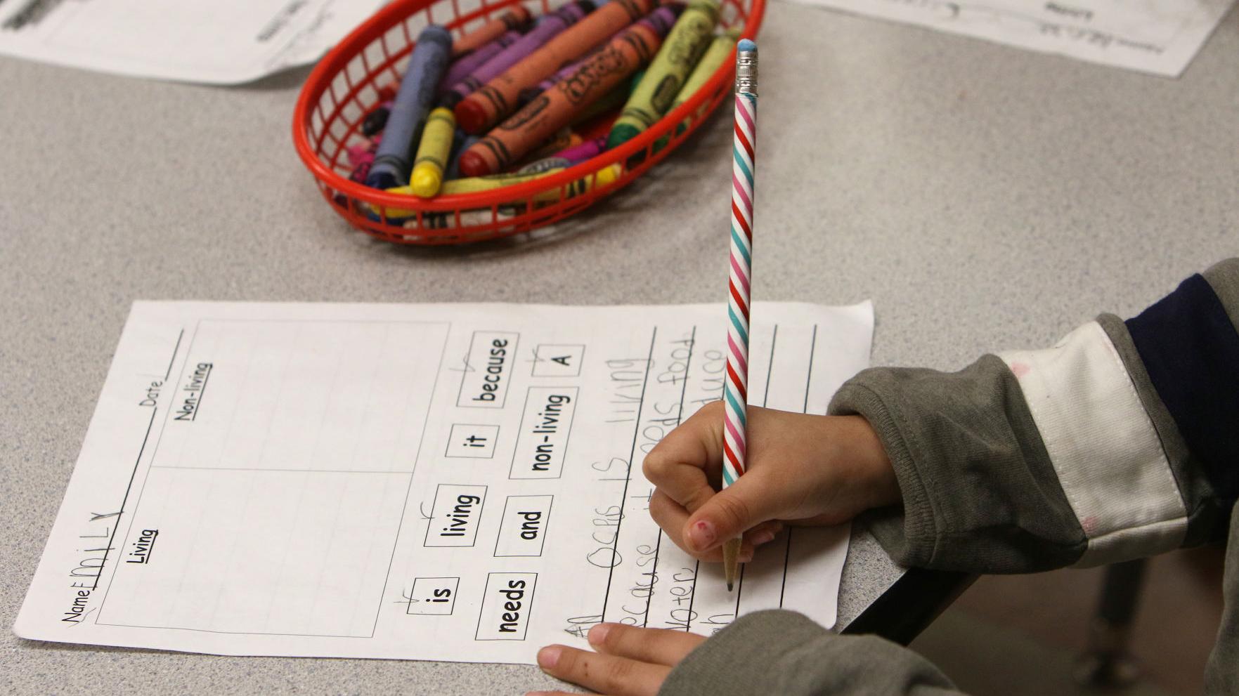 Amphitheater has 20 COVID-19 cases across 8 schools, closes two grade-level classes